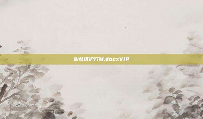 粉丝维护方案.docxVIP