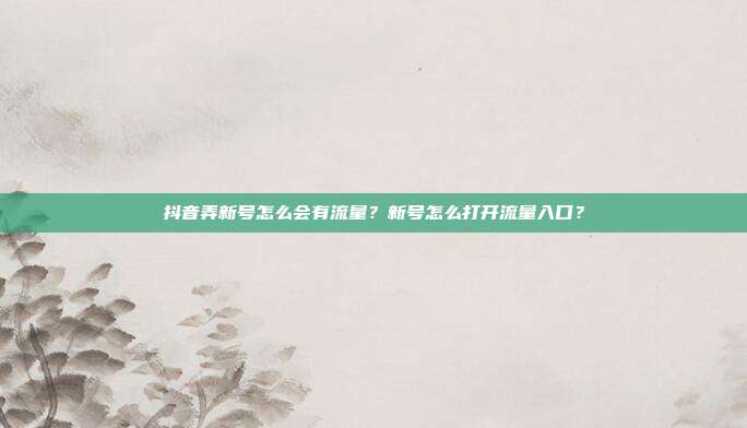 抖音弄新号怎么会有流量?新号怎么打开流量入口?