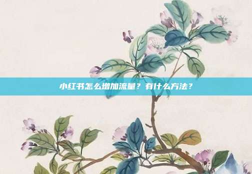 小红书怎么增加流量?有什么方法?