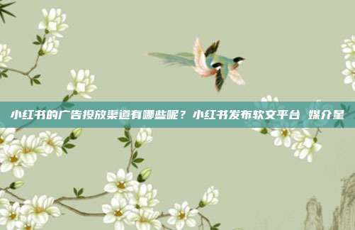 小红书的广告投放渠道有哪些呢？小红书发布软文平台 媒介星