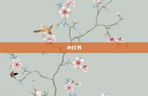 小红书