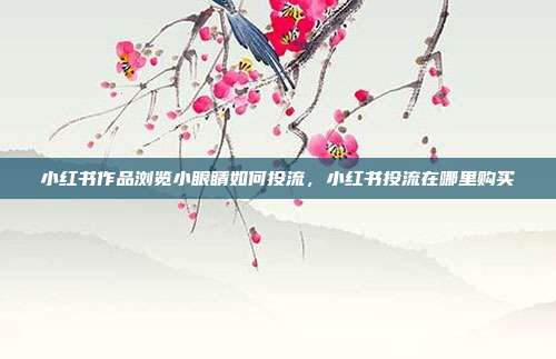 小红书作品浏览小眼睛如何投流，小红书投流在哪里购买