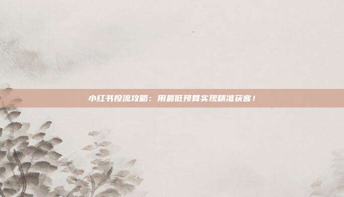 小红书投流攻略:用最低预算实现精准获客!