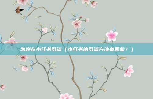 怎样在小红书引流(小红书的引流方法有哪些?)