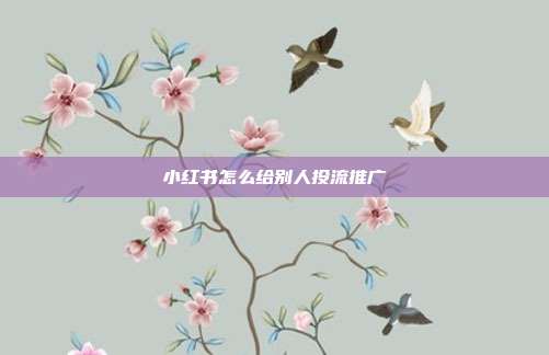小红书怎么给别人投流推广