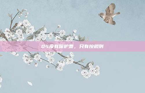04没有保护费,只有按规则