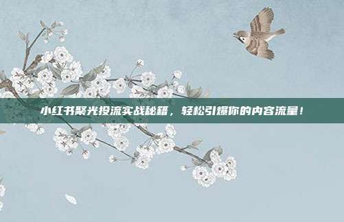 小红书聚光投流实战秘籍,轻松引爆你的内容流量!