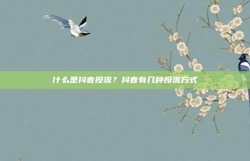 什么是抖音投流?抖音有几种投流方式