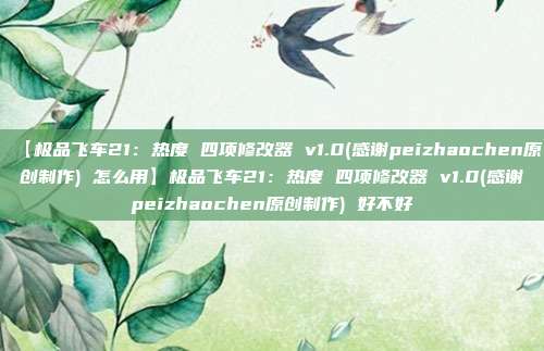 【极品飞车21:热度 四项修改器 v1.0(感谢peizhaochen原创制作) 怎么用】极品飞车21:热度 四项修改器 v1.0(感谢peizhaochen原创制作) 好不好