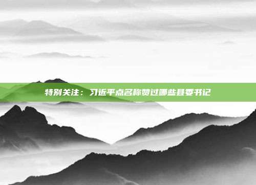特别关注:习近平点名称赞过哪些县委书记