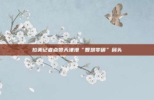 拉美记者点赞天津港“智慧零碳”码头