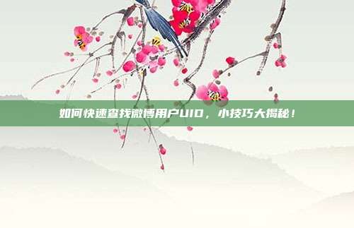 如何快速查找微博用户UID,小技巧大揭秘!