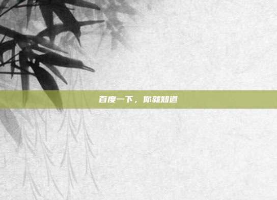 百度一下，你就知道