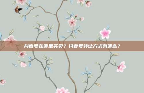 抖音号在哪里买卖?抖音号转让方式有哪些?