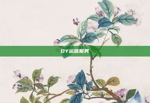 DY运营服务