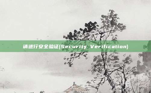 请进行安全验证(Security Verification)