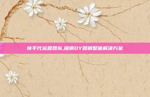 快手代运营团队,提供DY营销整体解决方案