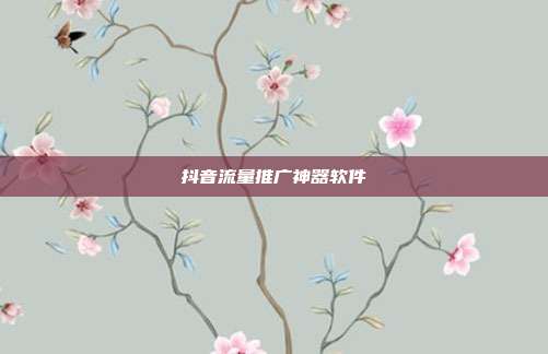 抖音流量推广神器软件