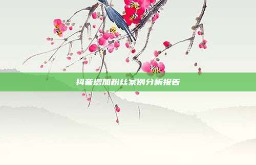 抖音增加粉丝案例分析报告