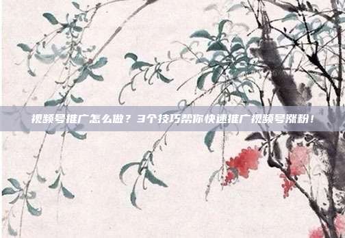 视频号推广怎么做？3个技巧帮你快速推广视频号涨粉！