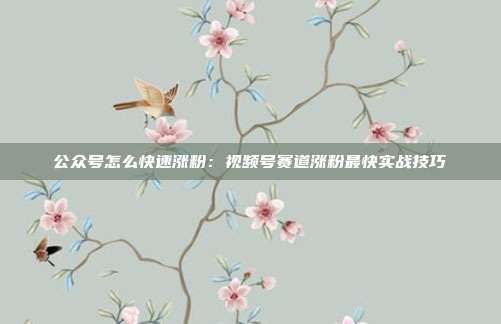 公众号怎么快速涨粉：视频号赛道涨粉最快实战技巧
