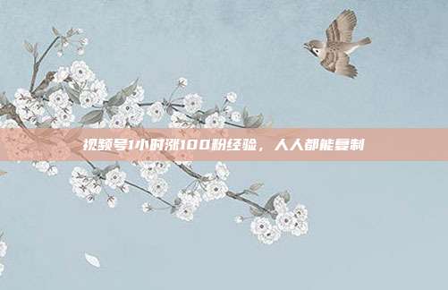 视频号1小时涨100粉经验，人人都能复制