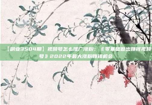 【副业3504期】视频号怎么推广涨粉：《零基础做出赚钱视频号》2022年最大涨粉赚钱机会