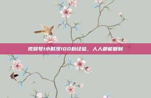 视频号1小时涨100粉经验，人人都能复制