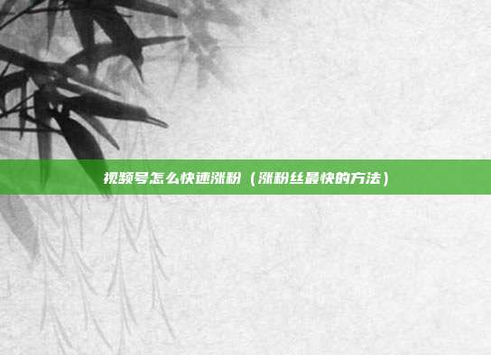 视频号怎么快速涨粉（涨粉丝最快的方法）