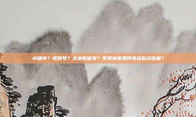 小程序？视频号？企业微信号？零售商家如何激活私域流量？