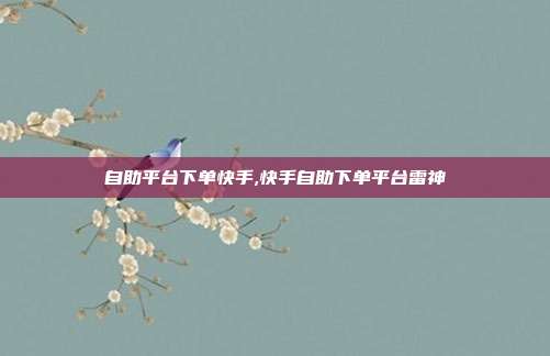 自助平台下单快手,快手自助下单平台雷神