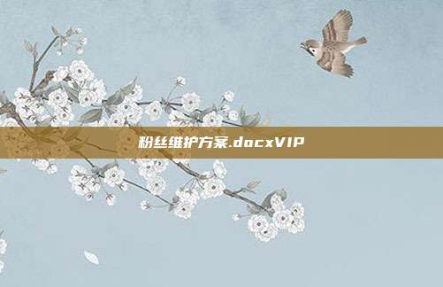 粉丝维护方案.docxVIP