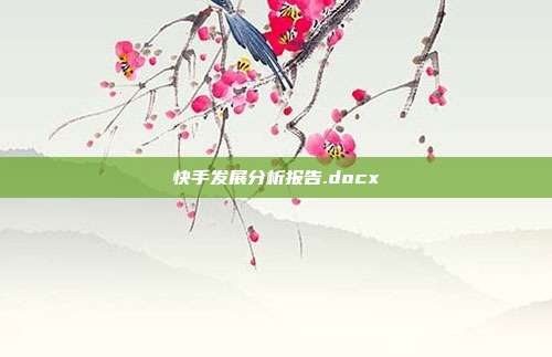 快手发展分析报告.docx