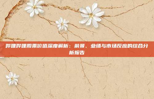 哔哩哔哩股票价值深度解析:前景、业绩与市场反应的综合分析报告