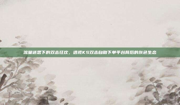 流量迷思下的双击狂欢，透视KS双击自助下单平台背后的灰色生态