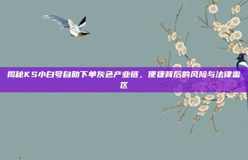 揭秘KS小白号自助下单灰色产业链，便捷背后的风险与法律雷区