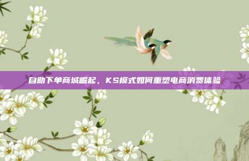 自助下单商城崛起，KS模式如何重塑电商消费体验
