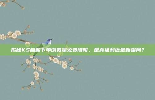 揭秘KS自助下单浏览量免费陷阱,是真福利还是新骗局?