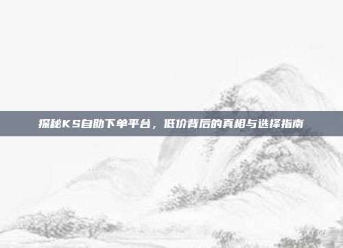 探秘KS自助下单平台，低价背后的真相与选择指南