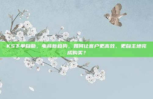 KS下单自助，电商新趋势，如何让客户更高效、更自主地完成购买？