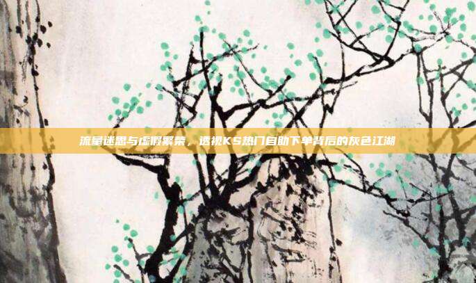 流量迷思与虚假繁荣，透视KS热门自助下单背后的灰色江湖