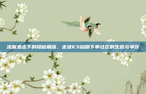 流量焦虑下的隐秘角落，走进KS自助下单社区的生意与争议