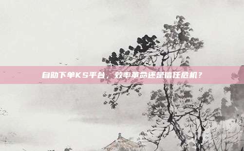 自助下单KS平台，效率革命还是信任危机？