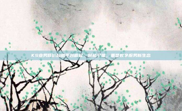 KS业务低价自助平台崛起，赋能个体，重塑数字服务新生态