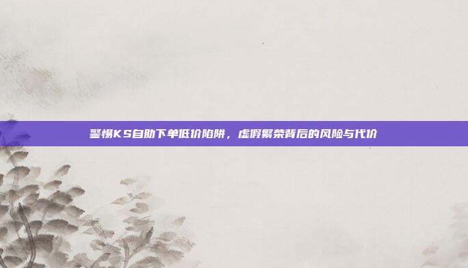 警惕KS自助下单低价陷阱，虚假繁荣背后的风险与代价