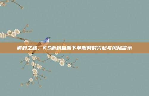 解封之路，KS解封自助下单服务的兴起与风险警示
