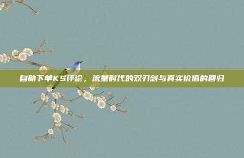 自助下单KS评论,流量时代的双刃剑与真实价值的回归