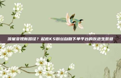 流量变现新路径？起底KS粉丝自助下单平台的灰色生意链