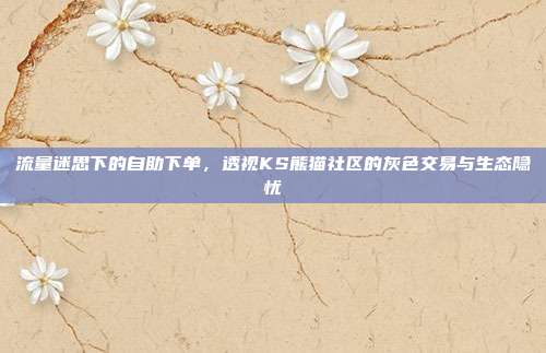 流量迷思下的自助下单,透视KS熊猫社区的灰色交易与生态隐忧