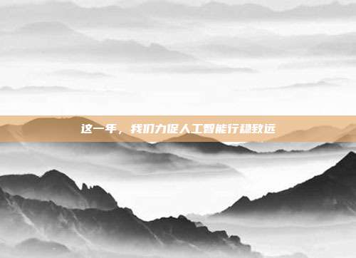 这一年,我们力促人工智能行稳致远